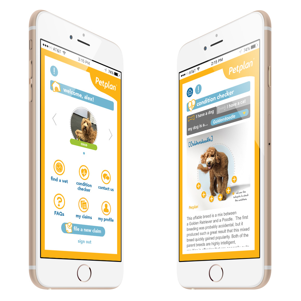 petplan-valex-consulting